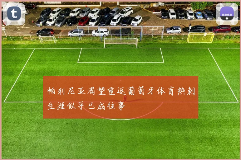 帕利尼亚渴望重返葡萄牙体育热刺生涯似乎已成往事